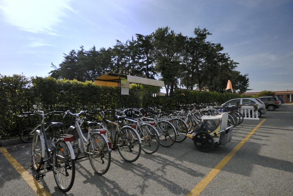 La Cecinella Appartamento Marina di Cecina